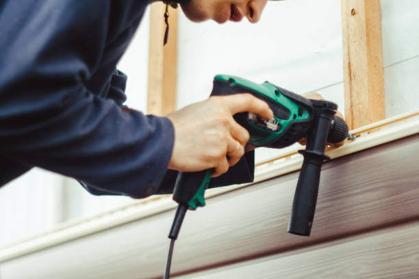 Affordable Siding Repair and Maintenance Services in Holiday Shores, IL